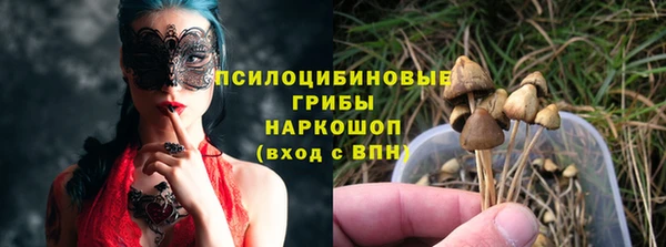 ешки Алексин