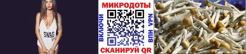 Галлюциногенные грибы Psilocybe Кремёнки